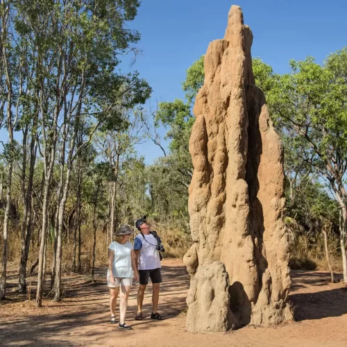 darwin tours litchfield