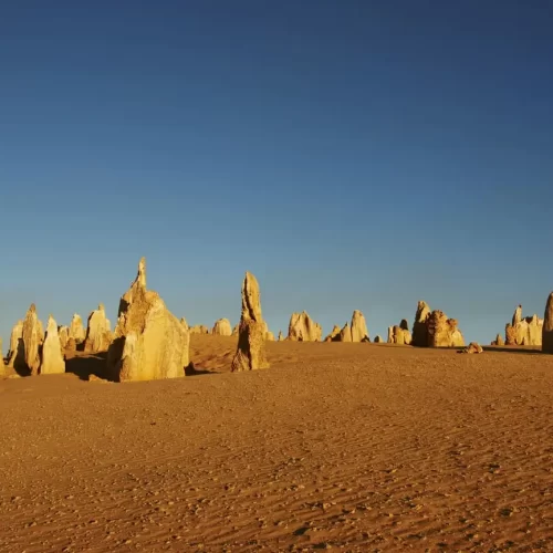 pinnacles tours