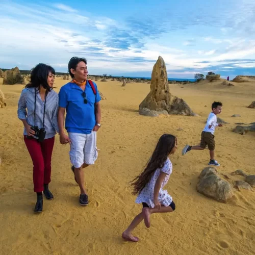 Pinnacles Stargazing Tour