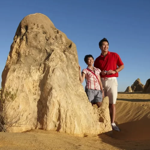 pinnacles tour perth