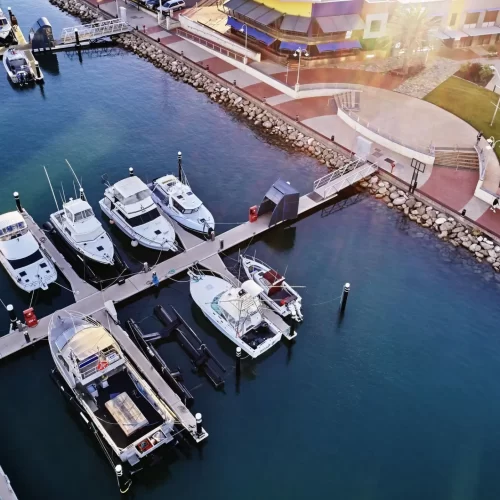 ningaloo whale shark tours