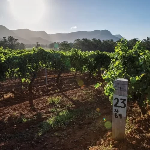 hunter valley wineries tours