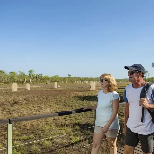 litchfield national park day tour
