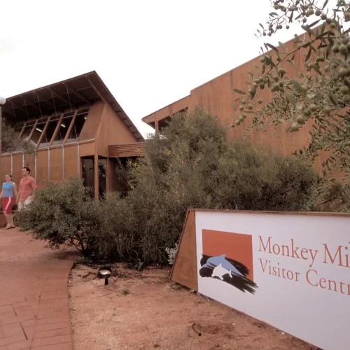 perth to monkey mia tours