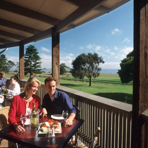 phillip island penguin tour