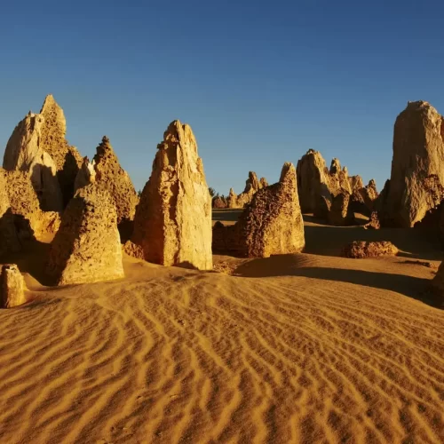 pinnacles desert tour