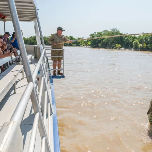 spectacular jumping crocodile cruise