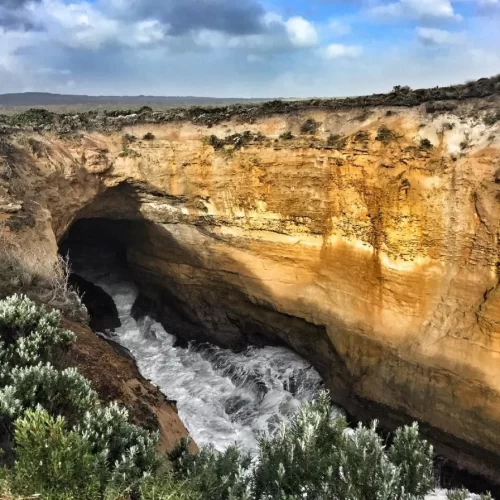 great ocean road b tours
