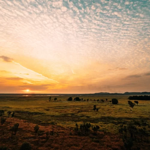 kakadu day trip from darwin