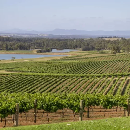tours in hunter valley