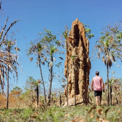 tours of litchfield national park