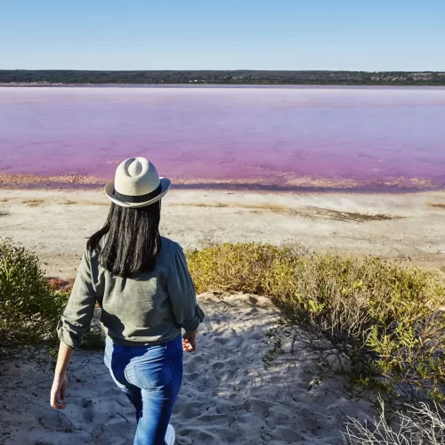 whale shark tours ningaloo reef
