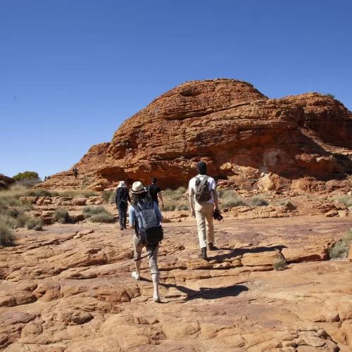 uluru to alice springs tour