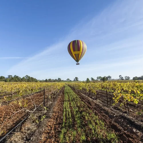 wine tours hunter valley deals